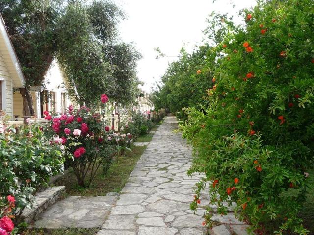 фото Clover Magic Nova Beach (ex. Nova Beach) изображение №22