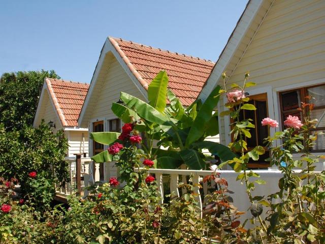 фото отеля Clover Magic Nova Beach (ex. Nova Beach) изображение №21