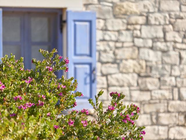 фотографии Orelia Cretan Villas & Deluxe Apartments  изображение №4