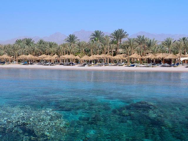 фотографии Sharm Dreams Vacation Club изображение №36