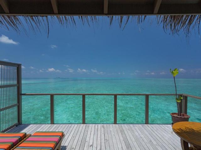 фотографии отеля Meeru Island Resort & Spa изображение №15