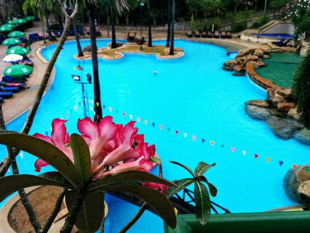 фото Garden Sea View Resort изображение №42