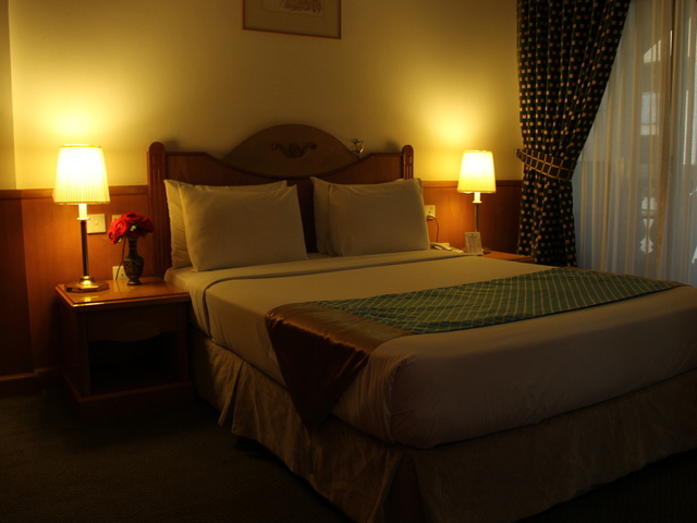 фотографии Zain International изображение №12