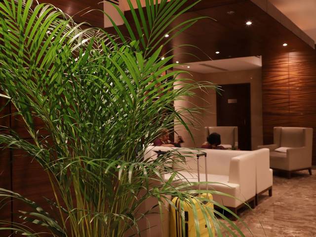 фотографии отеля Majestic City Retreat (ex. Majestic Hotel Tower) изображение №43