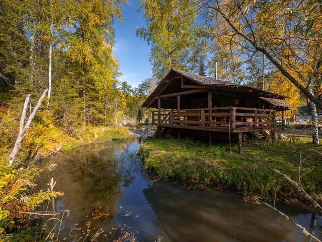 фотографии Таежная Заимка Лесная Сказка (Taezhnaya Zaimka Lesnaya Skazka) изображение №168