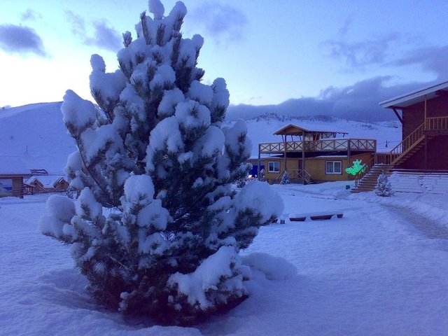 фото отеля База Отдыха Ветер Странствий (Veter Stranstvij) изображение №17