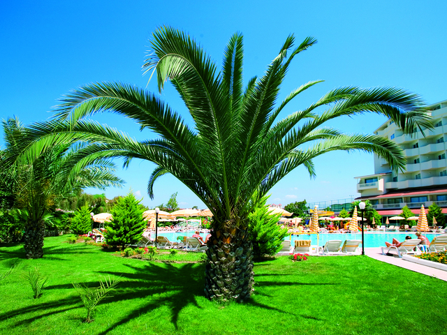 фотографии Febeach изображение №16