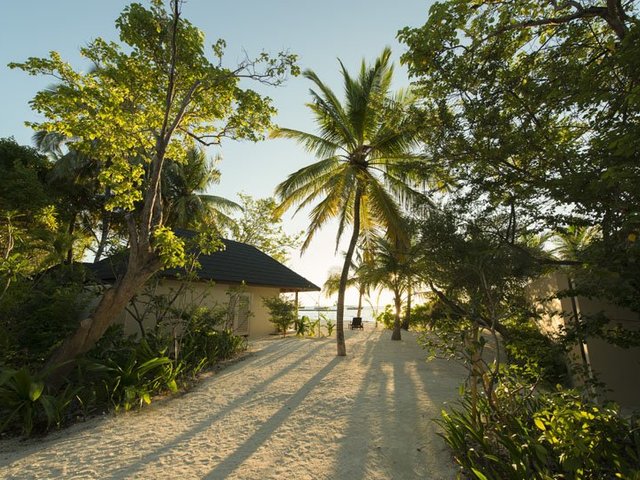фотографии отеля Summer Island Maldives (ex. Summer Island Village) изображение №31
