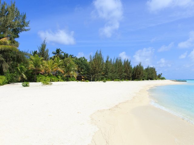 фотографии Summer Island Maldives (ex. Summer Island Village) изображение №36