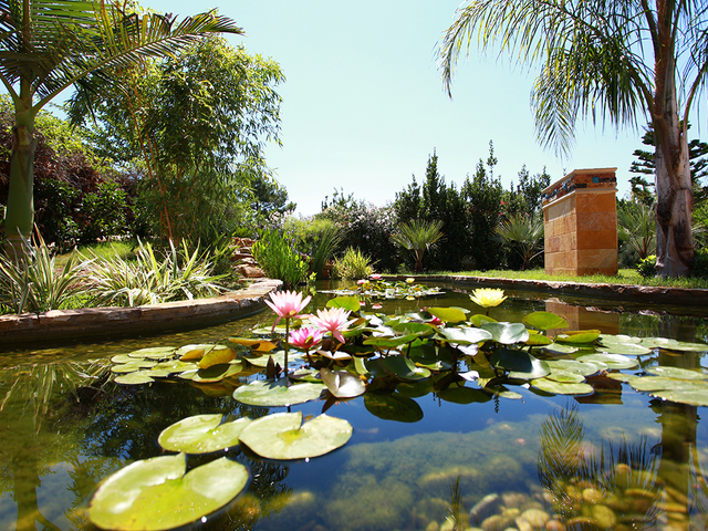 фотографии отеля Cirali Hera изображение №75