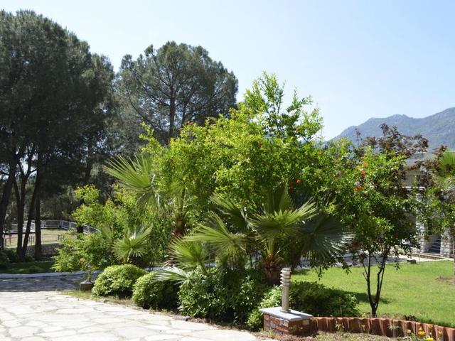 фотографии Pine Beach Turunc	(ex.Dora Beach Turunc Hotel; Green Park Beach Hotel; Green Park Suites) изображение №4