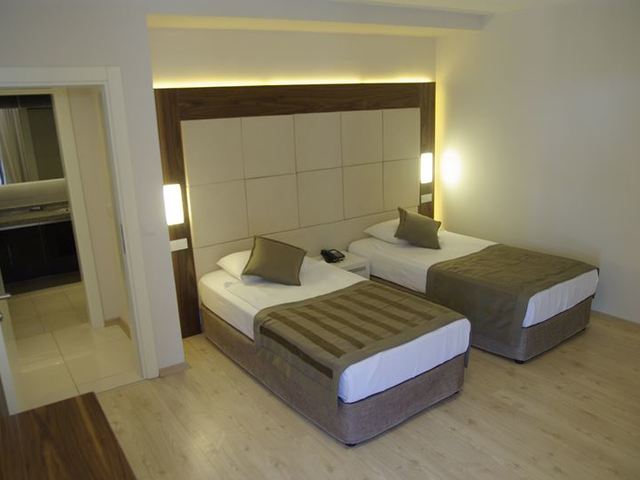 фото Delphin изображение №2