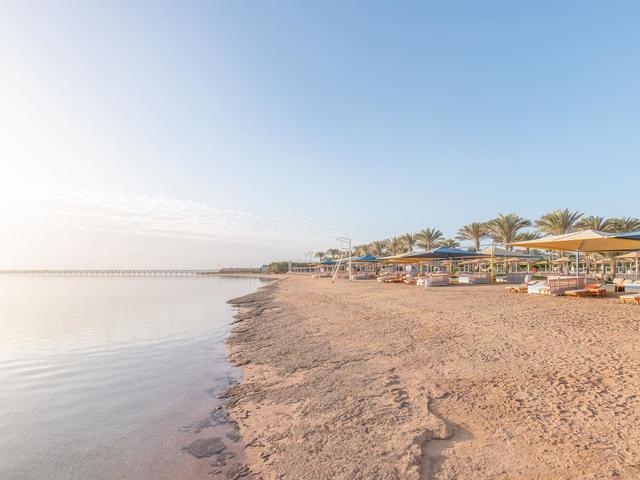 фотографии отеля Pickalbatros Royal Moderna Resort (ex. Royal Albatros Moderna; Calimera Royal Albatros Moderna) изображение №67