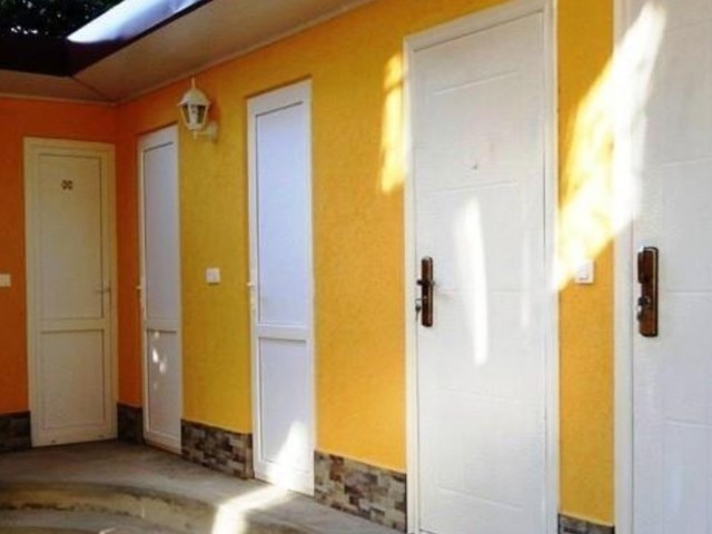 фотографии Киви И Цитрус (Kivi And Citrus) изображение №36