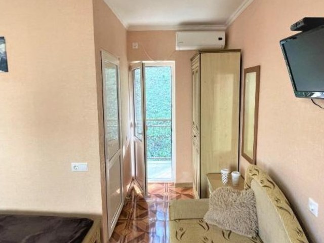 фотографии Киви И Цитрус (Kivi And Citrus) изображение №32