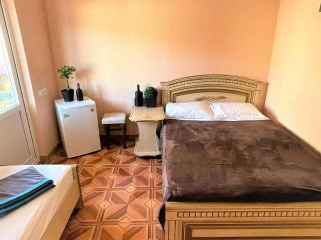 фотографии Киви И Цитрус (Kivi And Citrus) изображение №24