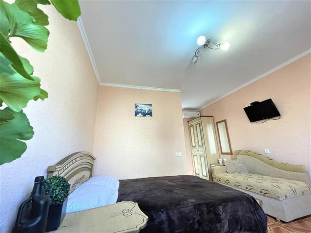 фото Киви И Цитрус (Kivi And Citrus) изображение №22