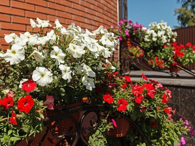 фотографии отеля ДК (DK) изображение №31