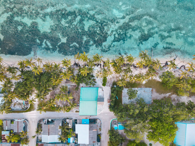 фотографии Heron Beach & Spa изображение №52