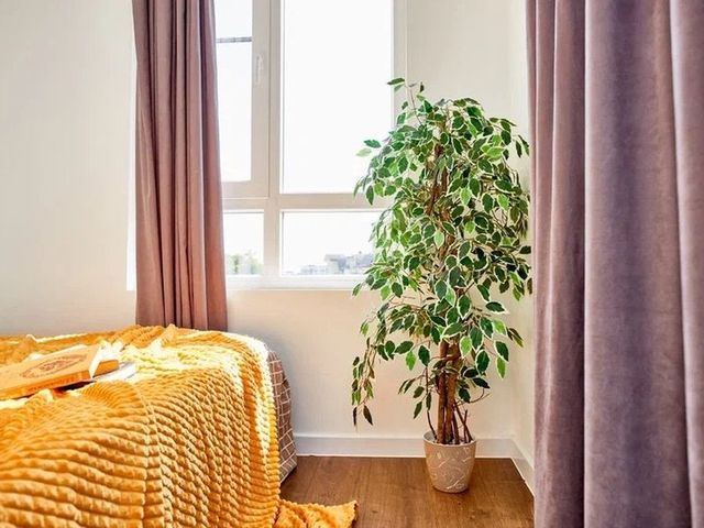 фото отеля C Видом На Горы (Гайдара, 5) изображение №33