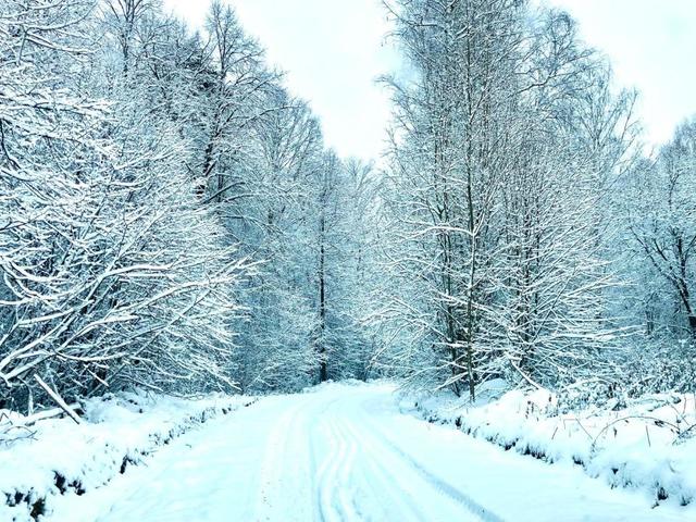фото отеля Бобровый Мыс (Bobrovij Mys) изображение №17