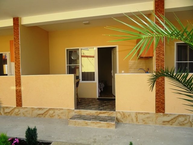 фотографии Киви И Цитрус (Kivi And Citrus) изображение №16