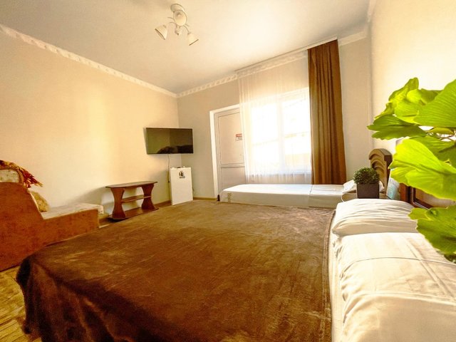 фотографии Киви И Цитрус (Kivi And Citrus) изображение №12