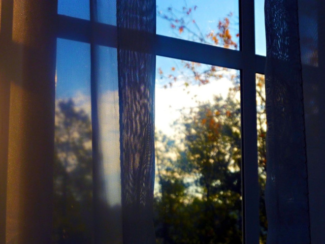 фото Green Land (Грин Лэнд) изображение №54