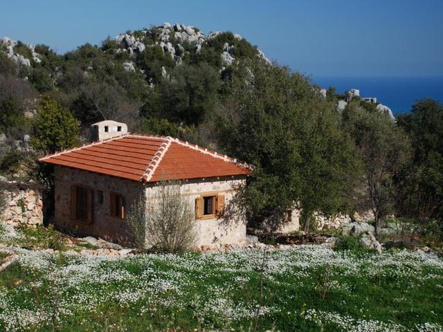 фотографии отеля Hoyran Wedre Country Houses (ex. Hoyran Wedre Koy Evleri) изображение №39