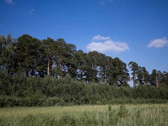 фото отеля Аракуль (Arakul) изображение №13