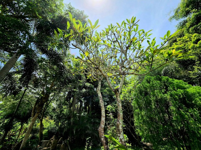 фото отеля Kata Garden Resort изображение №33