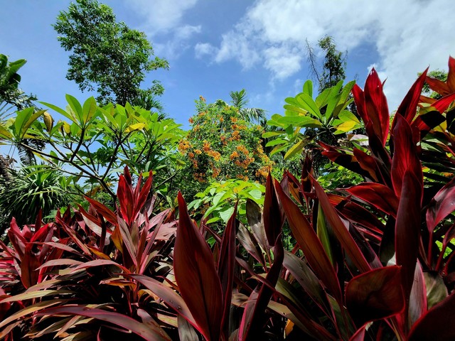 фотографии Kata Garden Resort изображение №24