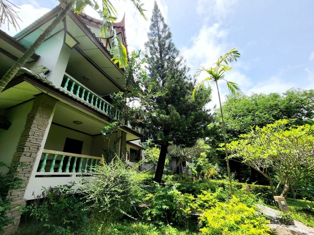 фото Kata Garden Resort изображение №18