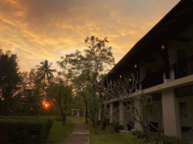 фотографии Palm Galleria Resort (ex. Best Western Palm Galleria Resort) изображение №48