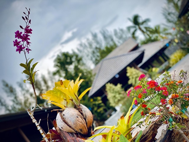 фотографии отеля Palm Galleria Resort (ex. Best Western Palm Galleria Resort) изображение №47