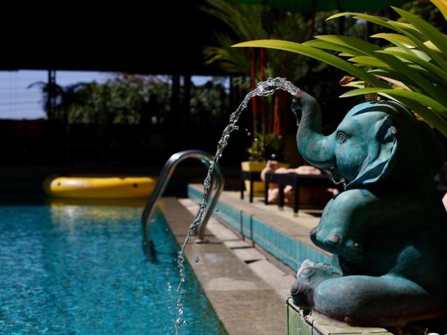 фото отеля CC's Hideaway (ex. CC Bloom) изображение №9