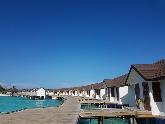 фотографии отеля Oblu Select Sangeli изображение №63