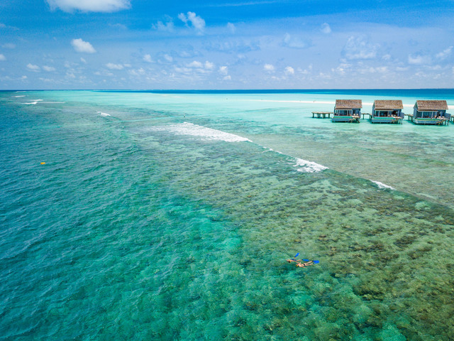 фото Kuramathi Maldives (ex. Kuramathi Island Resort) изображение №26