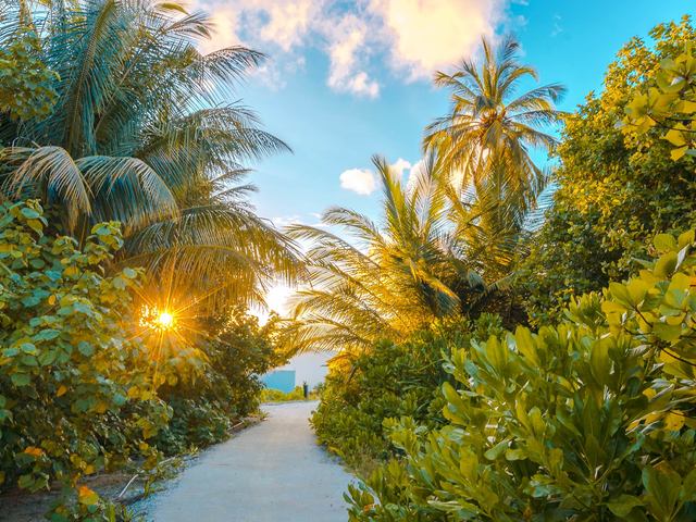 фото Rahaa Resort изображение №30