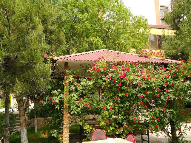 фото Нафталан (Naftalan) изображение №26