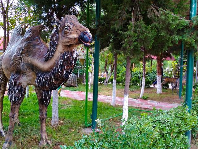 фото Нафталан (Naftalan) изображение №22