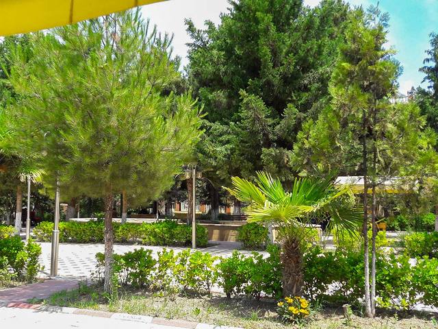 фото отеля Нафталан (Naftalan) изображение №21