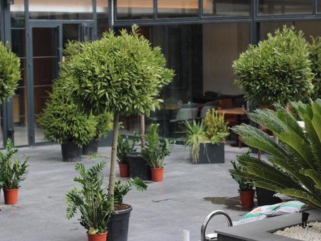 фотографии отеля Ramada Plaza By Wyndham Istanbul Sultanahmet (ex. Hamidiye) изображение №43