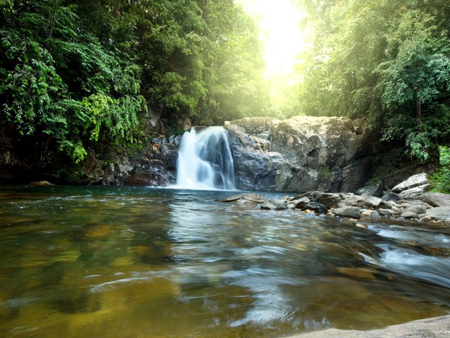 фото Leaf On Lagoon изображение №2