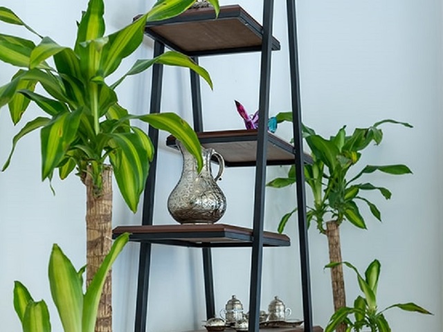 фото Alesta Seaside Residence изображение №14