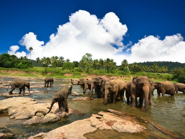 фото V & V Residence изображение №10