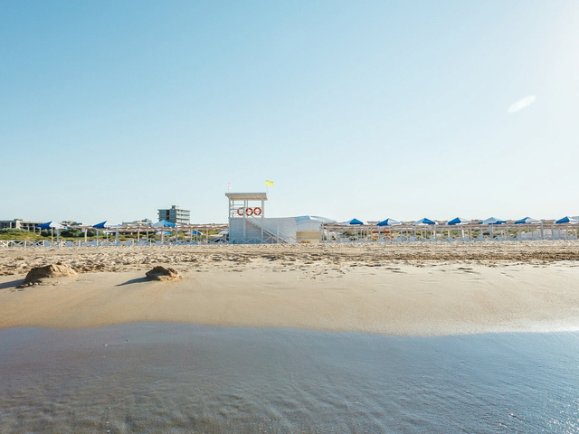 фотографии Sofgrand (Софгранд) изображение №32