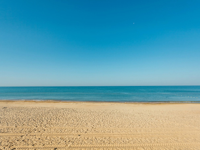 фотографии Sofgrand (Софгранд) изображение №28