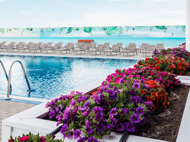 фотографии Sofgrand (Софгранд) изображение №4