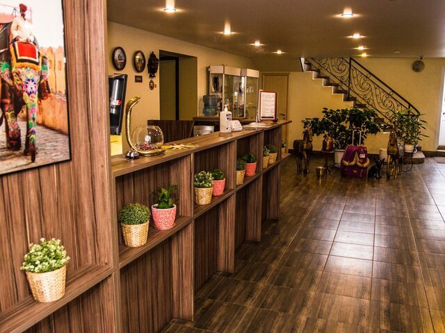 фото Ситара (Sitara) изображение №22